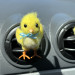 Classic chick air vent clip