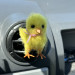 Classic chick air vent clip