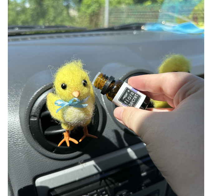 Classic chick air vent clip