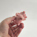 Flying Pig Air Vent Clip