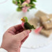 Lovebird Air Vent Clip