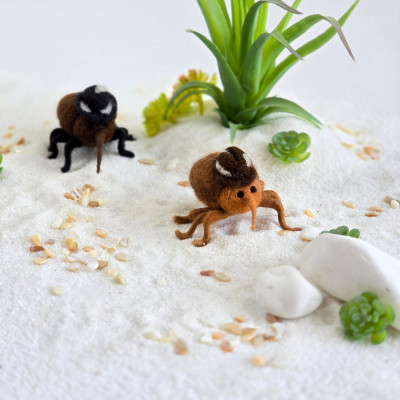 Weevil Air Vent Clip