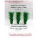 Green Furry LED Taper Candle - Funky