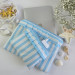 Sky-blue striped laptop sleeve with ruffles